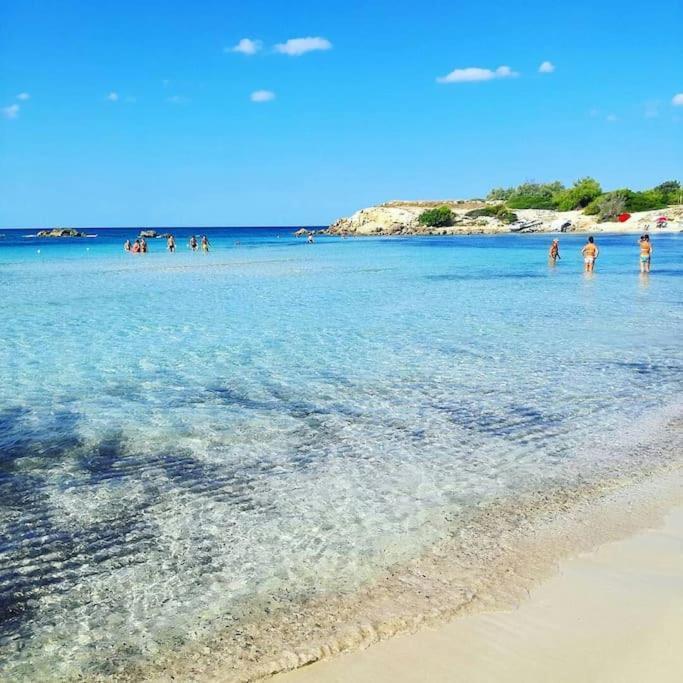 Casa Vacanze Amiche Del Mare 普尔萨诺 外观 照片